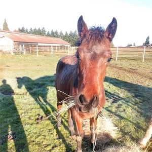 Meet your Posher, Ann